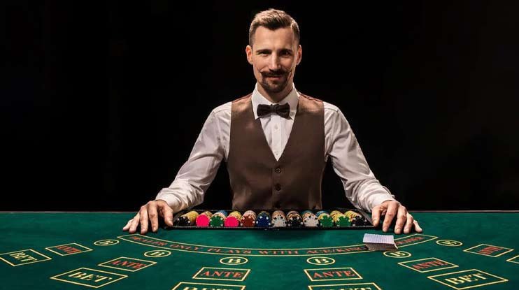 win365bet live casino platform